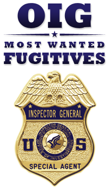 OIG badge